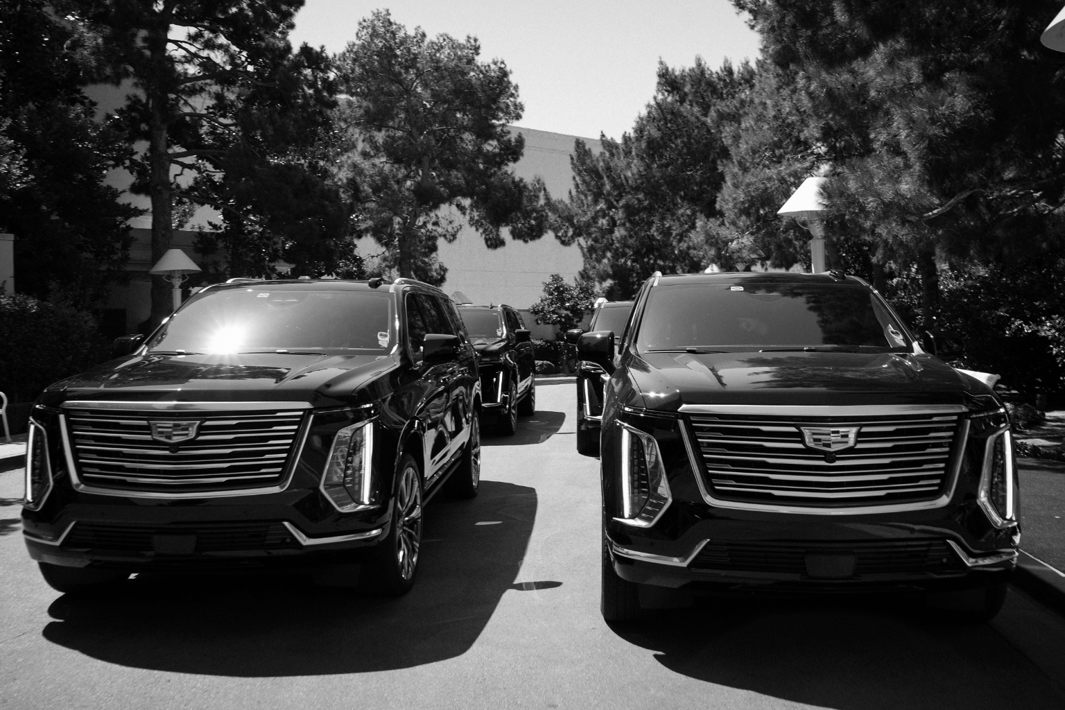 Black-and-white photo of two black Cadillac Escalades parked front-facing in a tree-lined driveway, with additional fleet vehicles visible behind them.